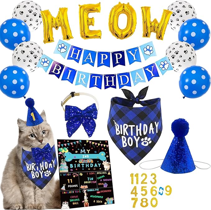 Cat Kitten Birthday Bandanas Cat Birthdays Party Supplies Party Hat Boy by DULUDULU