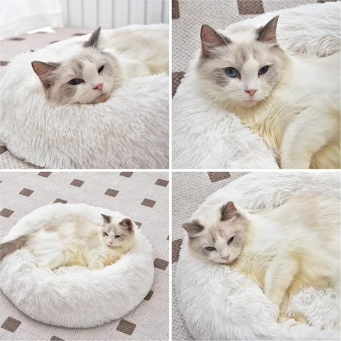 Cat Beds for Indoor Cats - Image 5