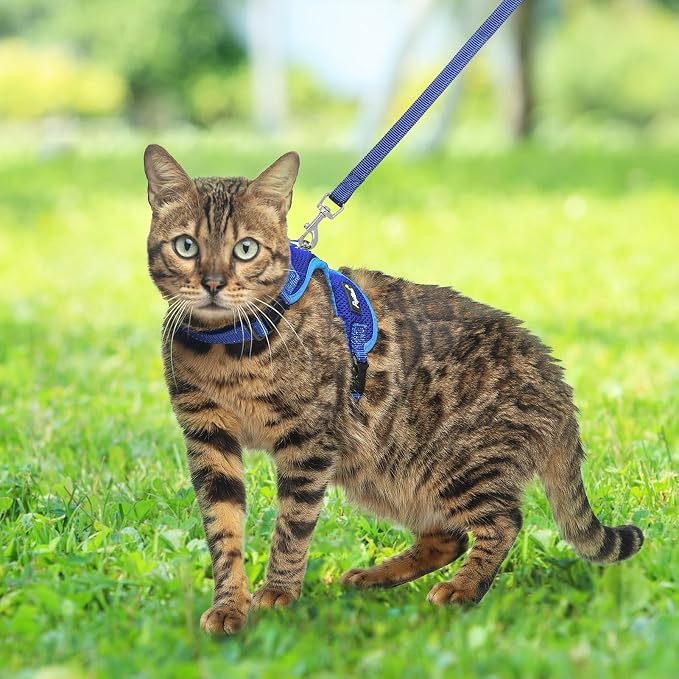 PUPTECK Cat Harness and Leash Set Escape Proof, Reflective Adjustable Soft Mesh - Image 6
