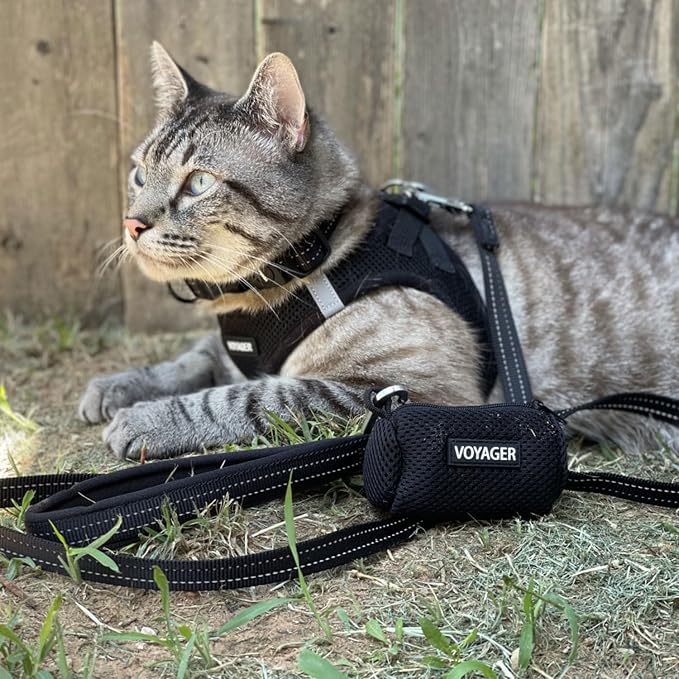 Best Pet Supplies Voyager Reflective Dog Leash or Collar - Image 2