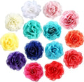 Leinuosen 14 Pcs Flower for Dog Collar Pet Collar Flowers Charms Multi Color by Leinuosen