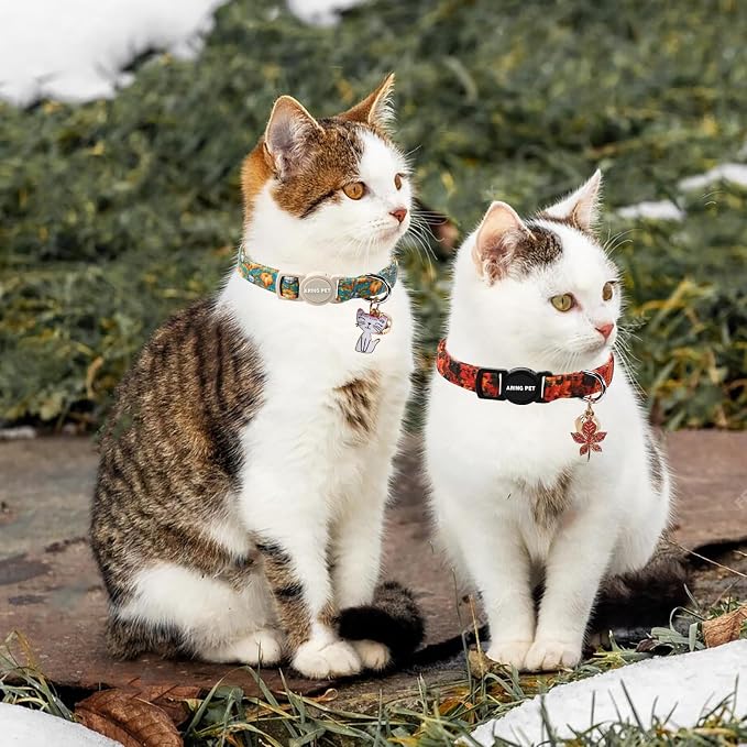 ARING PET 2 Pack Cat Collars, Breakaway Cotton Fall Halloween Kitten Collar - Image 3