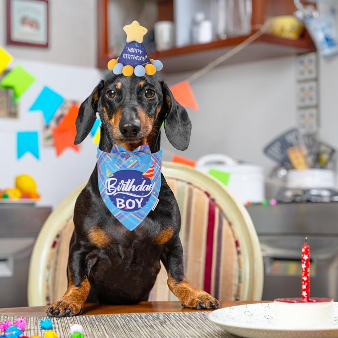 ADOGGYGO Dog Birthday Party Supplies, Party Hat - Image 2