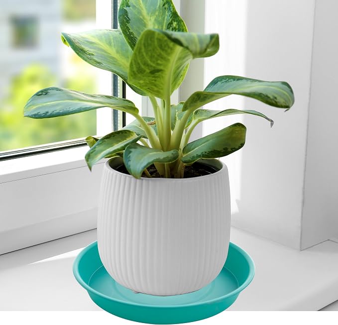 6 Pack of 8 inch Plant Saucer Blue, Plastic Plant Water Tray 8 inch Round - Image 4