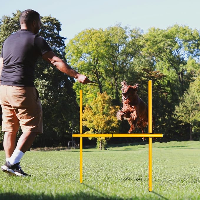 TNZMART 2.6 FT Dog Agility Obstacle Course Backyard Set - Image 6