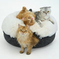 CATTASAURUS Peekaboo Cat Cave for Multiple & Large Cats Up to 30-45 Lbs by Cattasaurus