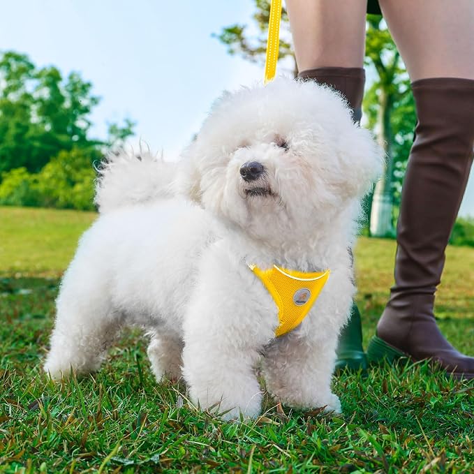 Hipubby Dog Harness and Leash Set, No Pull Soft Mesh Puppy Harness - Image 2