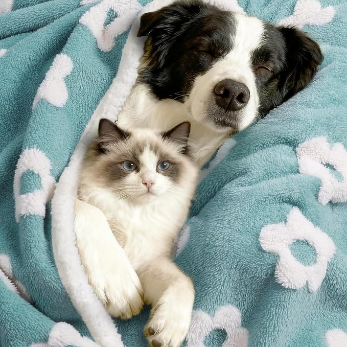 Luciphia Waterproof Pet Blanket - Image 7