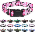 Mercano Adjustable Dog Collar by Unknown