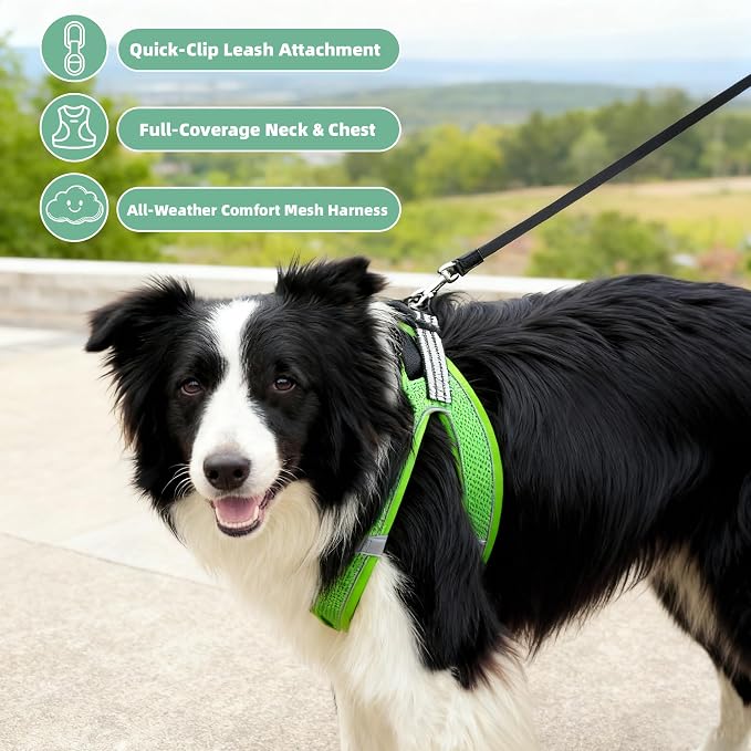 ROYPET Step-in Air Dog Harness, All Weather Mesh Step in Vest Harness - Image 3