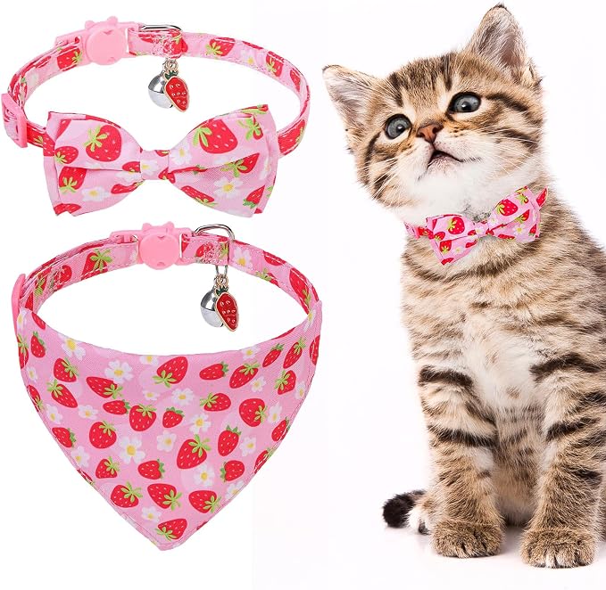 EXPAWLORER Cute Cat Collar Breakaway by EXPAWLORER