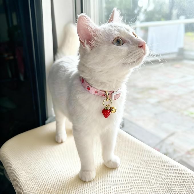 2-Pack Cotton Breakaway Cat Collar - Image 2