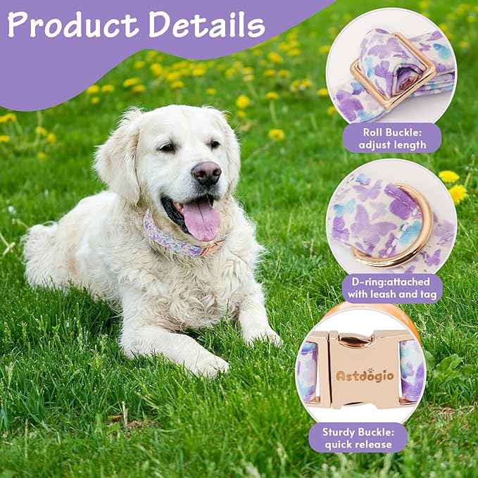 Elegant Butterfly Dog Collar, Adjustable Comfortable