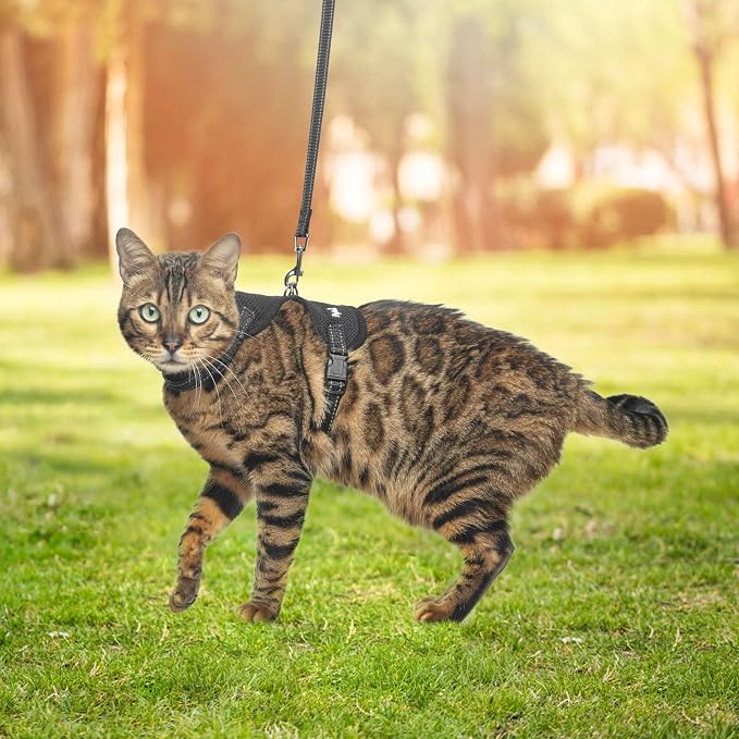 PUPTECK Cat Harness and Leash Set Escape Proof, Reflective Adjustable Soft Mesh - Image 6