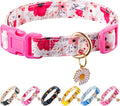 Cotton Dogs Collar Light Pink Flower Patterns by Raisingwell