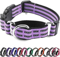 Hikiko Martingale Dog Collars Reflective Nylon Dog Collar by Hikiko