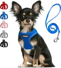 PetiFine Step in Small Dog Harness and Leash Set, Breathable All Weather Air by PetiFine