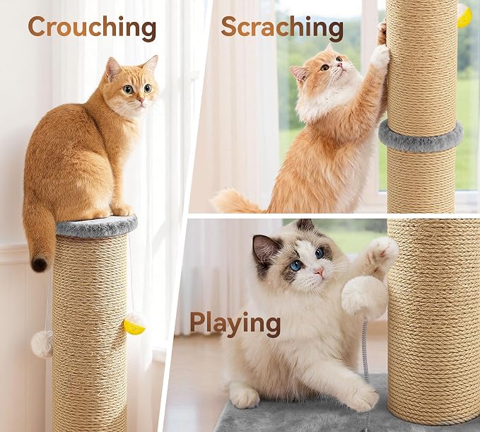 5-Inch Thick Sisal Cat Scratching Post, Durable Cat Scratcher - Image 4