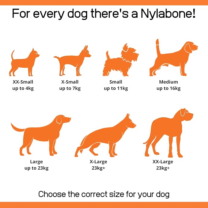 Nylabone Flex Moderate Chew Dog Toy Chicken Small/Regular - Image 12