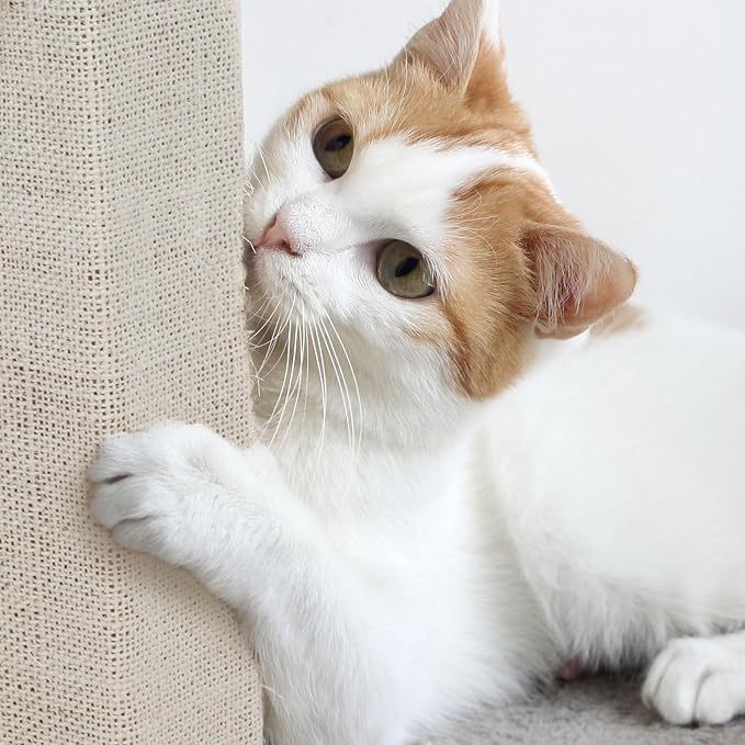 Cat Scratching Post with Carpeted Base - Image 4