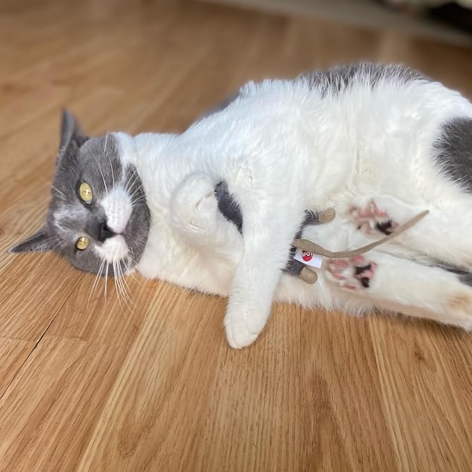 SPOT Flat Mouse Frankie with Catnip - Image 7