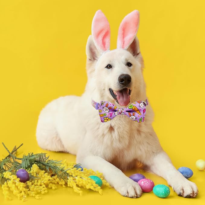 Easter Dog Collar with Bow Tie Set, Adjustable Purple Bunny and Carrot Pattern - Image 5