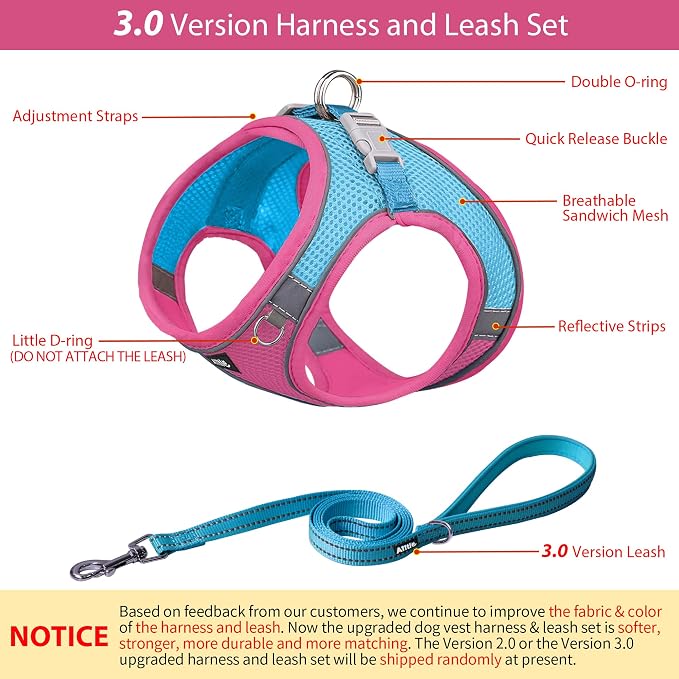 AIITLE Easy Walk Dog Harness and Leash Set - Image 3