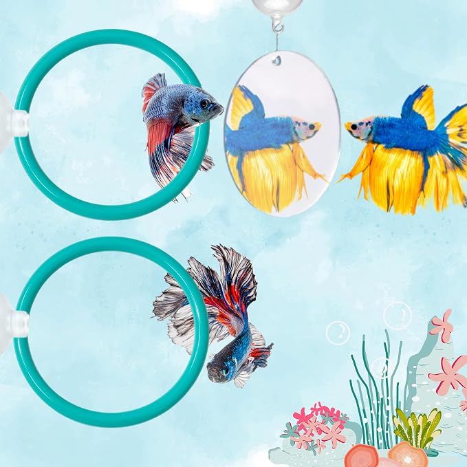 2 pcs Betta Ring Enrichment Toys by HomedyCrafts