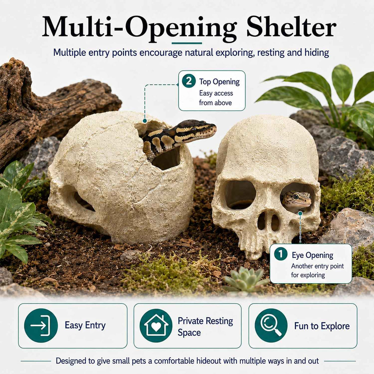 Black Resin Skull Terrarium Hideout