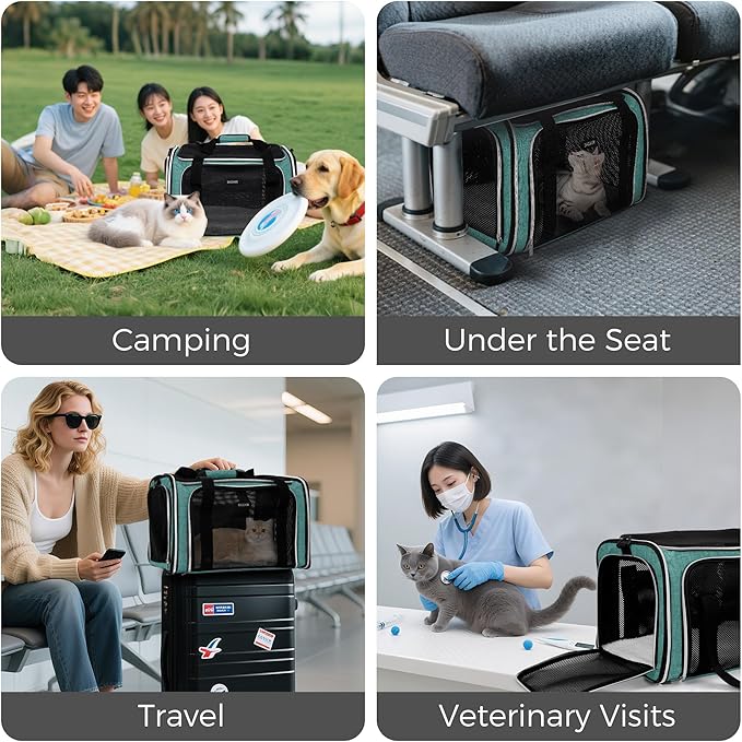 BAGLHER Pet Travel Carrier, Cat Carriers Dog Carrier - Image 7