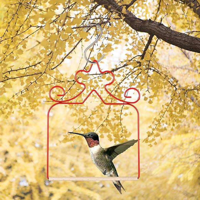 Hummingbird Swings 4 Pack, Rust Resistant Metal Frame - Image 6