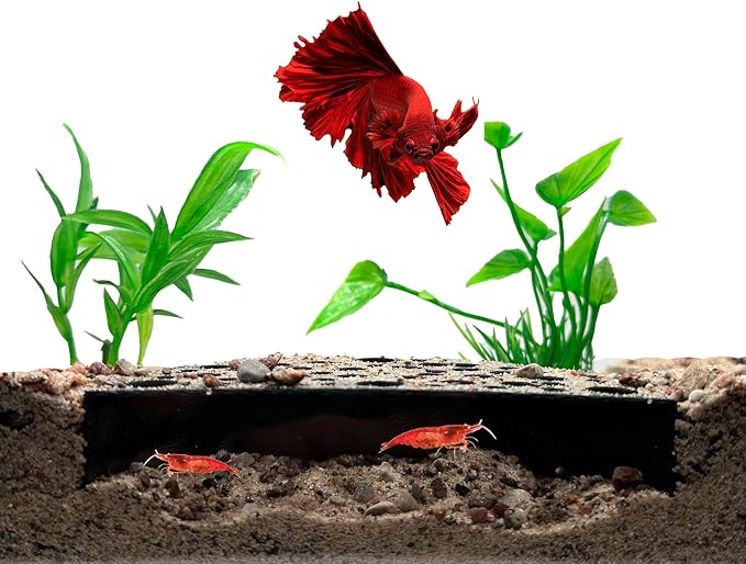 Shrimp Breeding Protector | Shrimp Breeding Cave Aquarium Tunnel | CTWPets by CTWPets