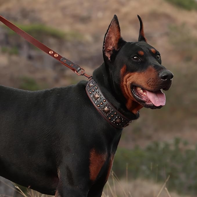 PET ARTIST Soft Padded Leather Dog Collar, 2 inch Wide Genuine Leather Dog - Image 2