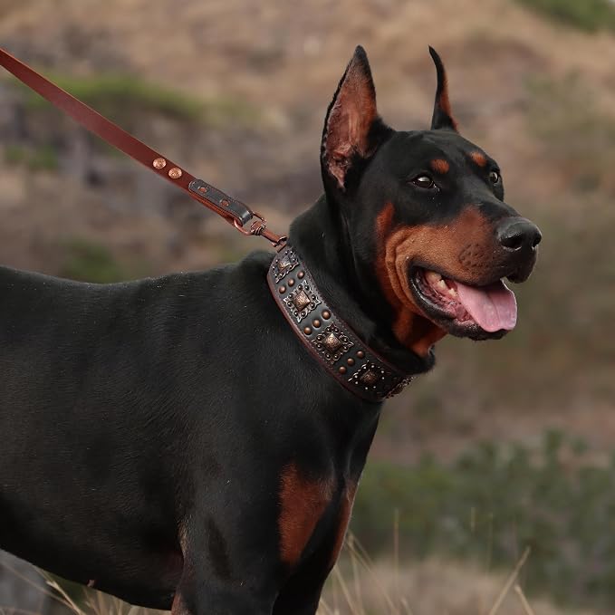 PET ARTIST Upgrade Padded Leather Dog Collar, 2 inch Wide Genuine Leather Dog - Image 2
