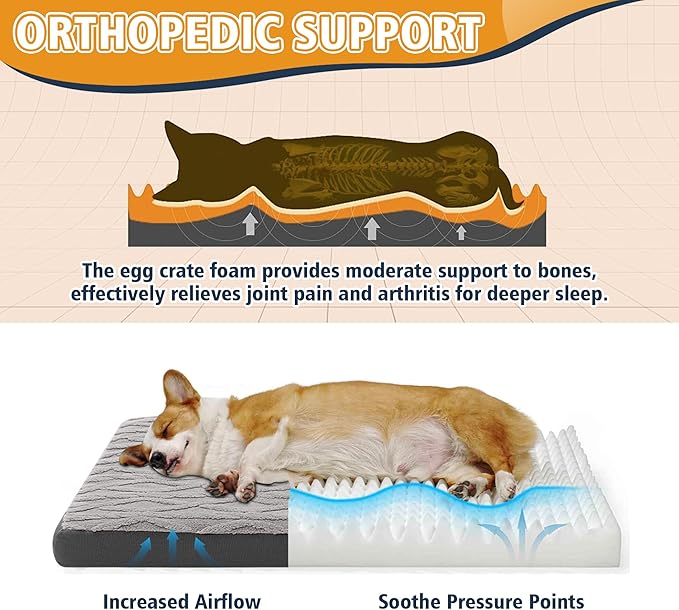 XL Orthopedic Dog Bed - Image 3