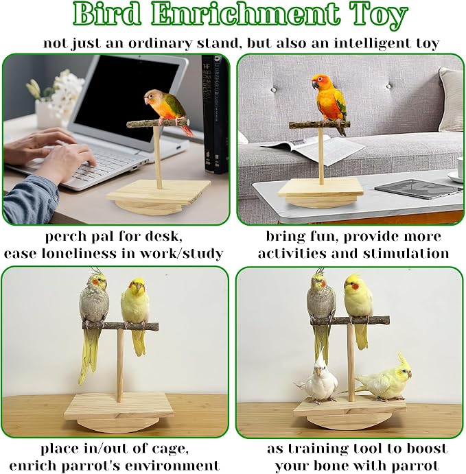 Natural Wood Bird Perch Stand Training, Quaker Parrot Toys, Intelligence Puzzle - Image 5