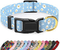 Reflective Dog Collar for Small Dogs, Cute Daisy Theme Adjustable Heavy-Duty by TMOODEL