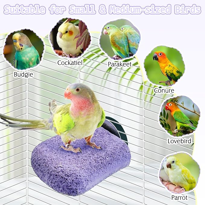 PINVNBY 5 Pack Bird Perch Resin Bird Beak Grinding Stone Parrot Cage Stand - Image 7