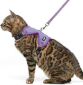 PUPTECK Cat Harness and Leash Set Escape Proof, Reflective Adjustable Soft Mesh by PUPTECK