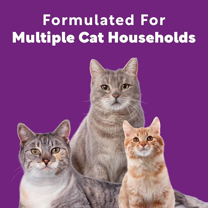 Scoop Away Advanced Multi-Cat Clumping Cat Litter, Meadow Fresh Scent, 18.5 - Image 4