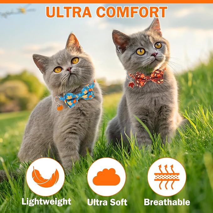 Breakaway Cat Collar Thanksgiving 2 Pack - Image 4