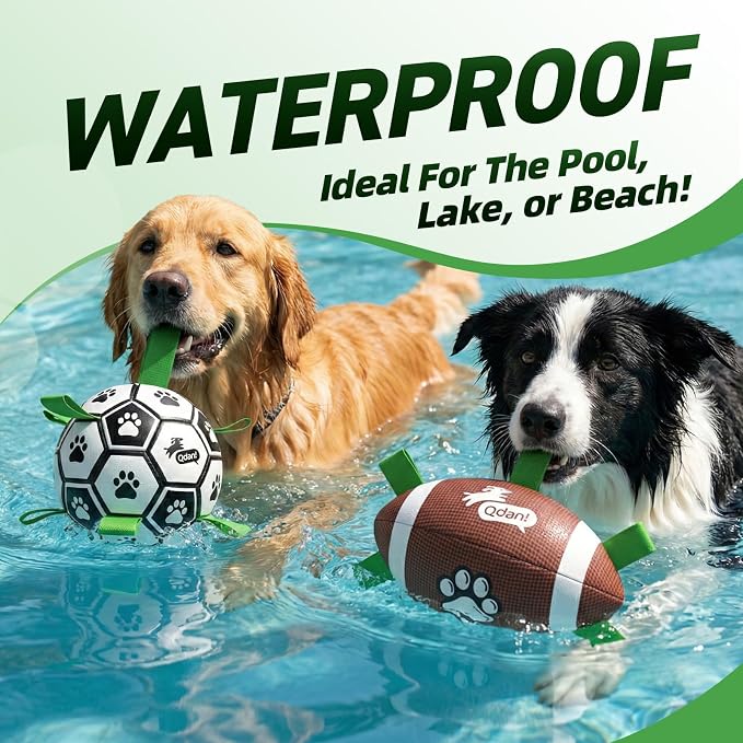 QDAN Dog Soccer Ball Football Set - Image 5