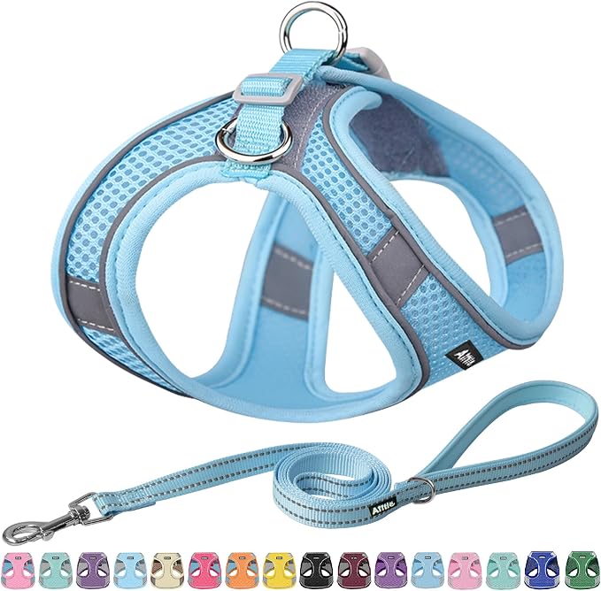 AIITLE No Pull Dog Harness and Leash Set, Step in Adjustable Dog Harness by AIITLE-FORPETSBETTERLIFE