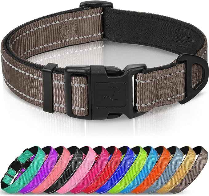 Joytale Reflective Dog Collar, Soft Neoprene Padded, Metal D-Ring, Nylon Pet