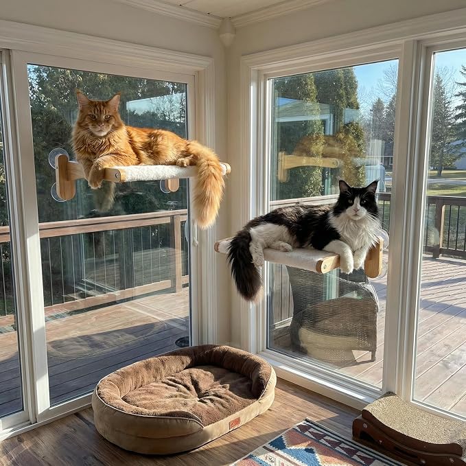 2-in-1 Cat Window Perch & Hummingbird Feeder, Heavy Duty Foldable Cat Hammock - Image 3