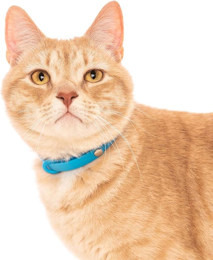 Nuvuq Breakaway Cat Collar - Image 5