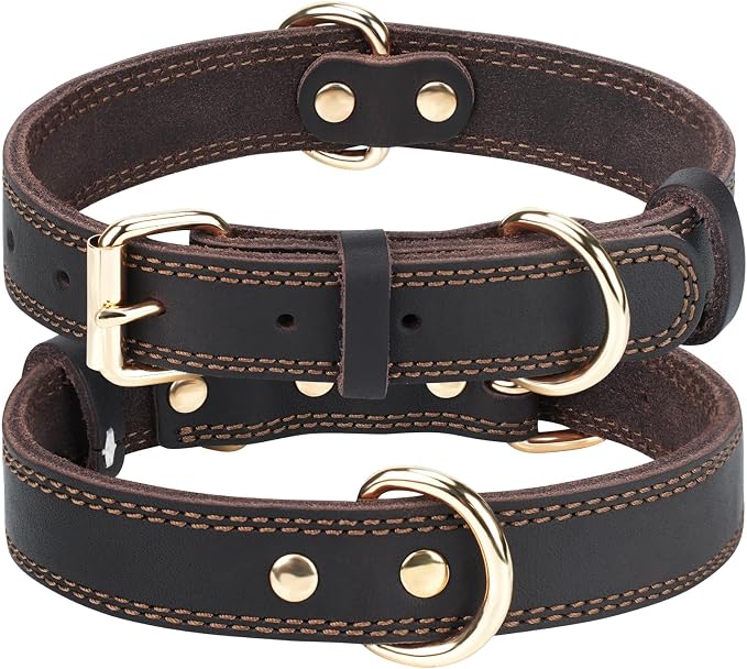 Joytale Leather Dog Collar for Medium Dogs, Genuine Thick Solid Leather by Joytale