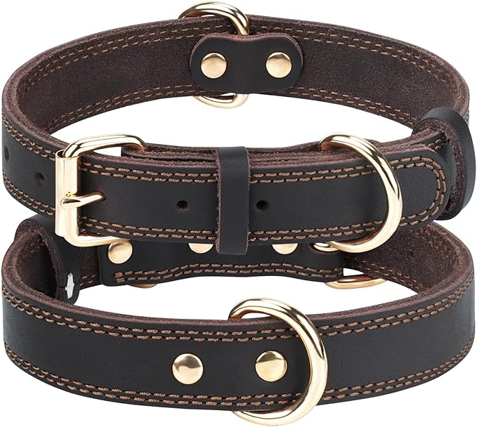 Joytale Leather Dog Collar for Small Dogs, Genuine Solid Sturdy Leather for by Joytale