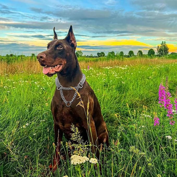 Silver Dog Chain Collar - Image 2