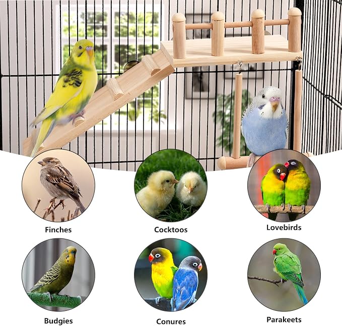 Bird Perches Platform Swing - Image 4